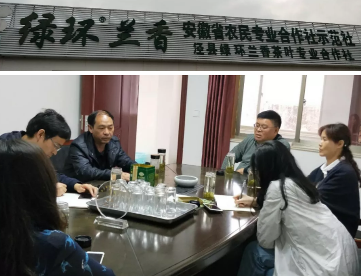 高超君副秘书长一行走访泾县绿环兰香茶叶专业合作社