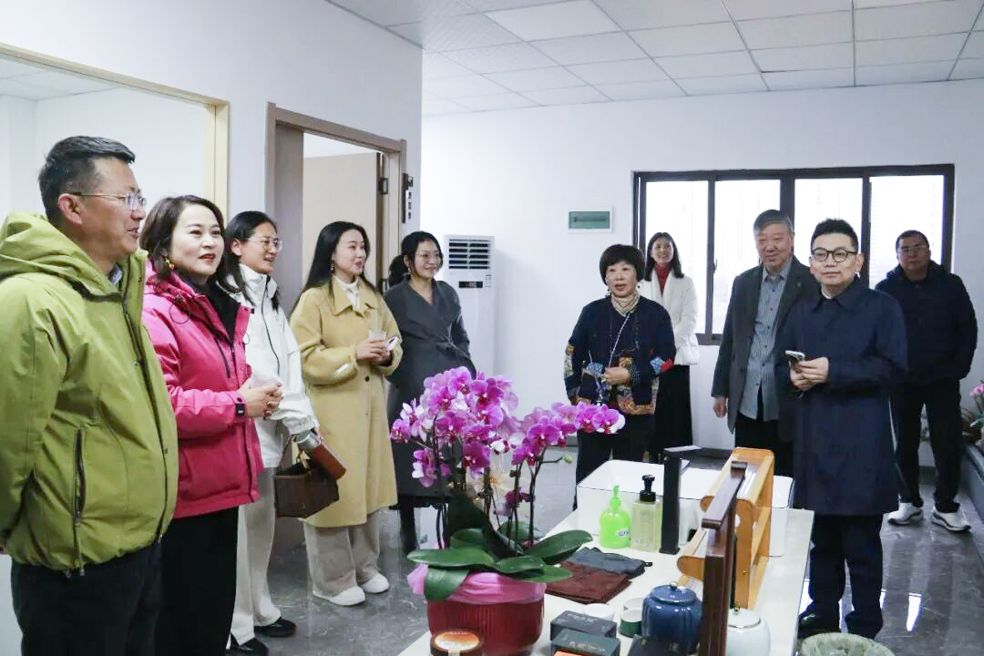 我会会长丁以寿受邀参加太湖县茶文化与茶产业发展交流会